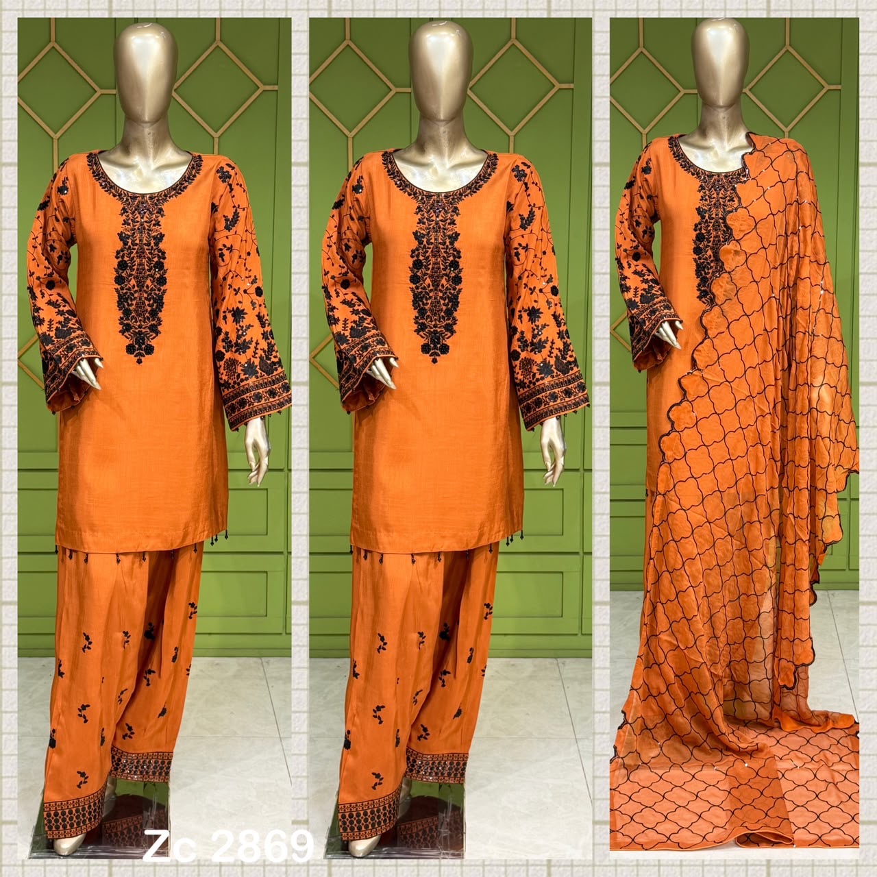 Panjabi party Wear - Chiffon